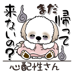 [LINEスタンプ] シーズー犬 『心配性ちゃん』