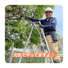 [LINEスタンプ] 出席番号15番 境