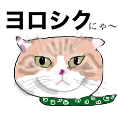 [LINEスタンプ] 猫ちゃんの顔やお尻。毎日使える挨拶。