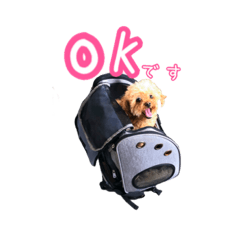 [LINEスタンプ] イヌッコ日常スタンプ
