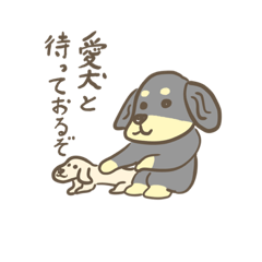 [LINEスタンプ] ダックスと過ごす飼い主さん向けスタンプ