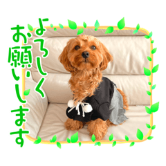 [LINEスタンプ] ラキスタンプ2023ver.
