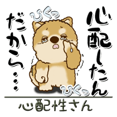 [LINEスタンプ] 柴犬・ちゃちゃ丸 『心配性』