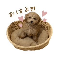 [LINEスタンプ] ぼくはちくわです