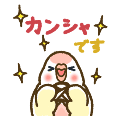 [LINEスタンプ] アキクサインコLINEスタンプ ルチノー