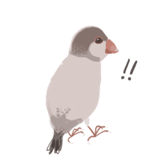 [LINEスタンプ] 文鳥かわいいね、ツー。