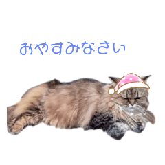 [LINEスタンプ] ねおたんのスタンプ