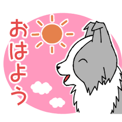 [LINEスタンプ] 気持ちを伝えるボーダーコリー(ブルー)