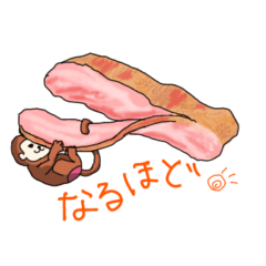 [LINEスタンプ] 動物かくれんぼ3