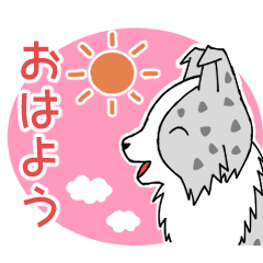 [LINEスタンプ] 気持ちを伝えるボーダーコリー(ブルーM)