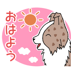 [LINEスタンプ] 気持ちを伝えるボーダーコリー(チョコM)