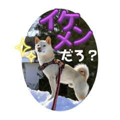 [LINEスタンプ] 山本ファーム♪