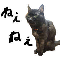 [LINEスタンプ] 猫のりんちゃんだよ♡第二弾