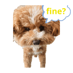 [LINEスタンプ] うちの子ファーニー