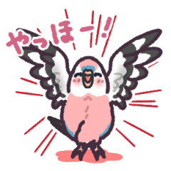 [LINEスタンプ] アキクサインコスタンプ  いろんなカラー