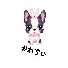 [LINEスタンプ] 【ボストンテリア】