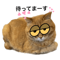 [LINEスタンプ] MOCOニャン1