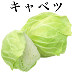 [LINEスタンプ] キャベツ です 野菜の画像（メイン）