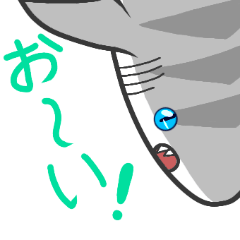 [LINEスタンプ] サメのアクゥの日常スタンプ