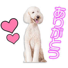 [LINEスタンプ] 橋本家のひまわりちゃん