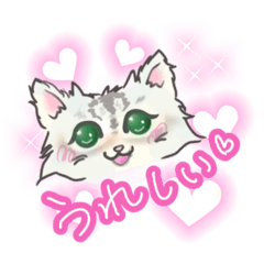 [LINEスタンプ] ペルシャ猫のエルたん♥️