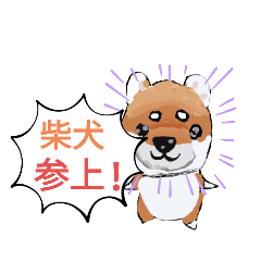 [LINEスタンプ] 可愛い柴犬でっせ