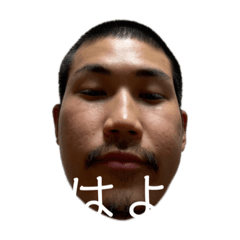 [LINEスタンプ] ぎーごたちの日常