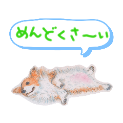 [LINEスタンプ] フラコギ琥珀 ＆ Friends