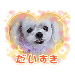 [LINEスタンプ] りんちゃんの生活Part.4