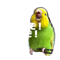 [LINEスタンプ] ぜんこのすたんぷ