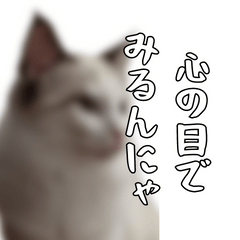 [LINEスタンプ] 猫と虫