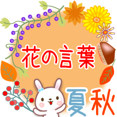 [LINEスタンプ] 毎日使う花の言葉●でか文字◆夏から秋の画像（メイン）