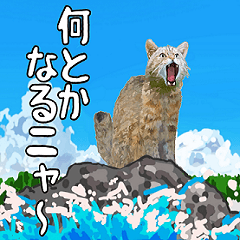 [LINEスタンプ] イリオモテ山猫大好き。沖縄行きたい