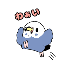 [LINEスタンプ] インコのぴーちゃんスタンプ。