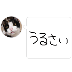 [LINEスタンプ] みみちゃんのファンが作ったスタンプ