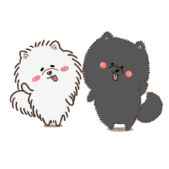 [LINEスタンプ] 白黒ポメラニアンの使えるスタンプ♡