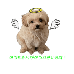 [LINEスタンプ] ポ大きくなりました