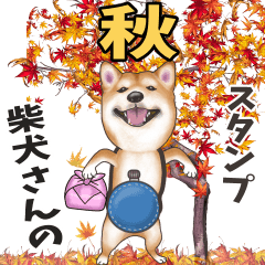 [LINEスタンプ] 柴犬さんの秋スタンプの画像（メイン）
