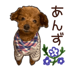 [LINEスタンプ] かわいい あんず