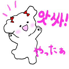 [LINEスタンプ] 白い犬の使える韓国語