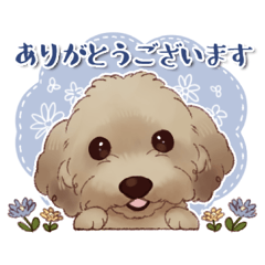 [LINEスタンプ] プチボヌールのプードル達