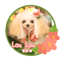 [LINEスタンプ] Lou Louの癒しスタンプ