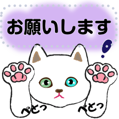 [LINEスタンプ] ”開運”オッドアイ白猫メッセージスタンプ