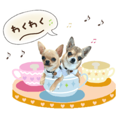 [LINEスタンプ] URIsan☺︎ITOsan