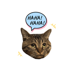 [LINEスタンプ] 猫のローズちゃん②