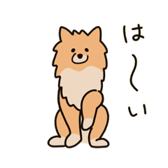 [LINEスタンプ] うちの家には犬がいる