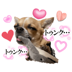 [LINEスタンプ] ポリムギ