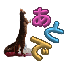 [LINEスタンプ] Meyバージョン