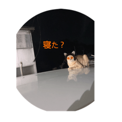 [LINEスタンプ] ナナチャンチンの絶対不可欠スタンプ18