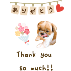 [LINEスタンプ] ミント♡BIGスタンプ